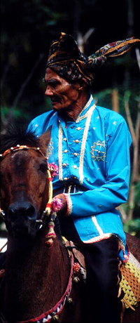 Bajau Horseman