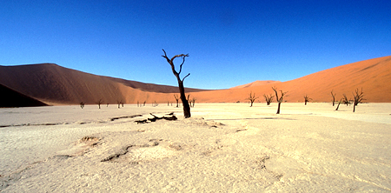 The Dead Vlei, Namib Desert, one of the oldest deserts in the World
